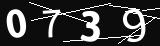 verifycode